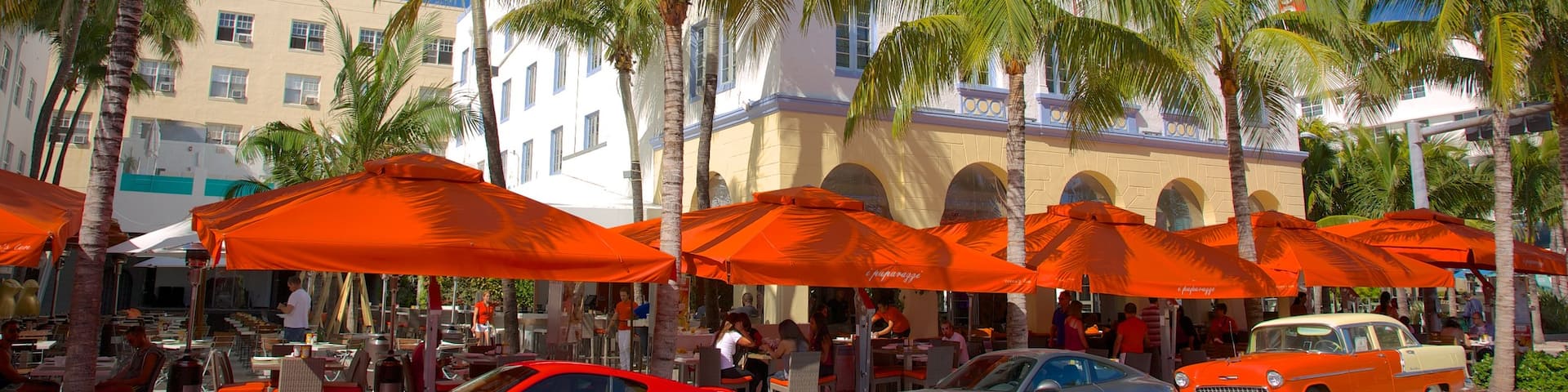 Miami Beach featuring a city and street scenes