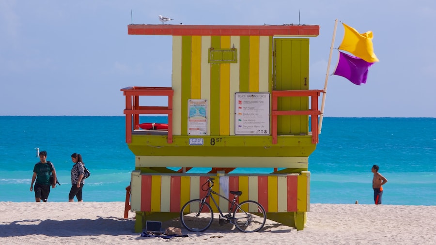 Miami Beach caratteristiche di vista del paesaggio, spiaggia e paesaggio tropicale