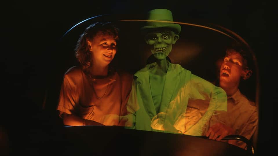 Magic Kingdom® Park showing rides and interior views as well as a couple