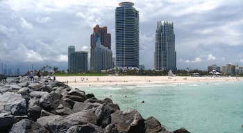 South Beach toont skyline, een wolkenkrabber en zwemmen