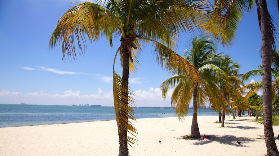 Key Biscayne fasiliteter samt tropisk landskap, strand og kystby