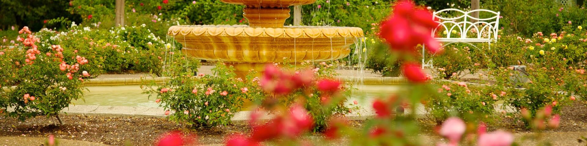 Jardines de Harry P. Leu que incluye un parque, flores y una fuente
