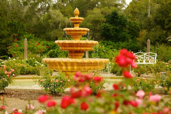 Harry P. Leu Gardens montrant fontaine, parc et fleurs