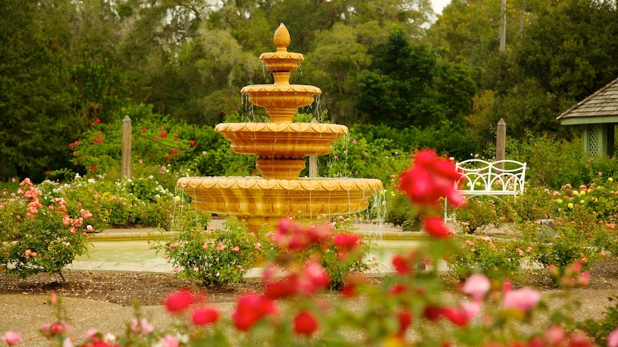 Harry P. Leu Gardens featuring flowers, a fountain and a garden