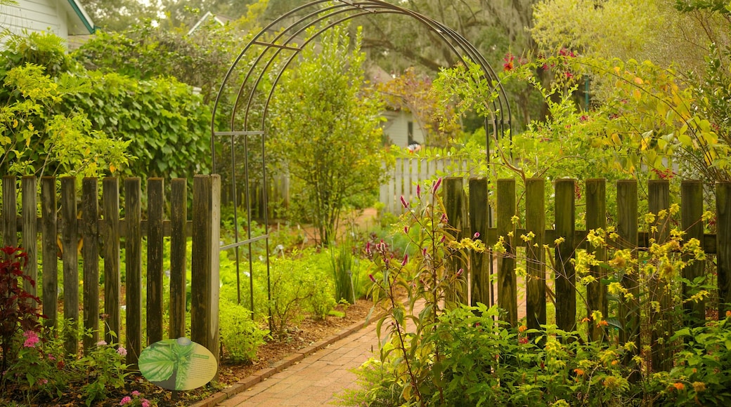 Harry P. Leu Gardens which includes landscape views and a garden