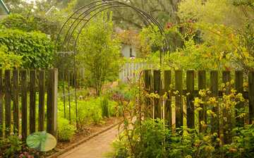 Harry P Leu Gardens In Orlando Expedia Harry P Leu Gardens In Orlando Expedia