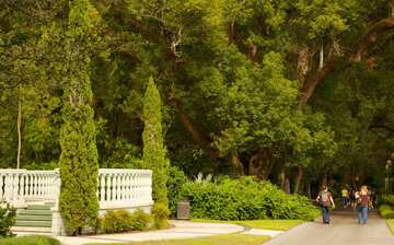 Harry P Leu Gardens In Orlando Expedia Harry P Leu Gardens In Orlando Expedia