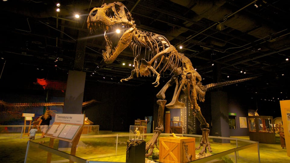 Orlando Science Center que inclui vistas internas