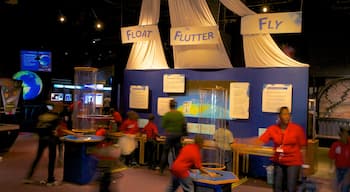 Orlando Science Center featuring interior views as well as a small group of people