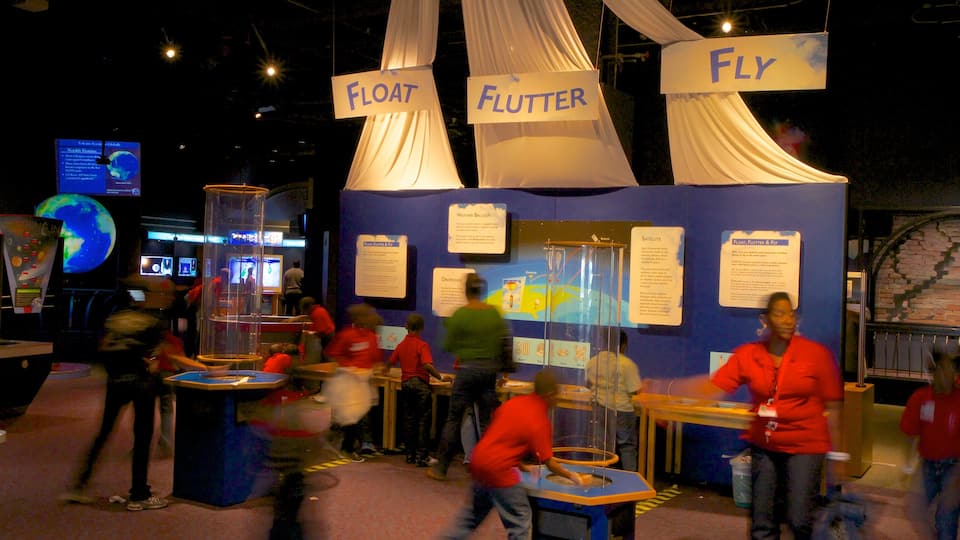 Orlando Science Center que inclui vistas internas assim como um pequeno grupo de pessoas