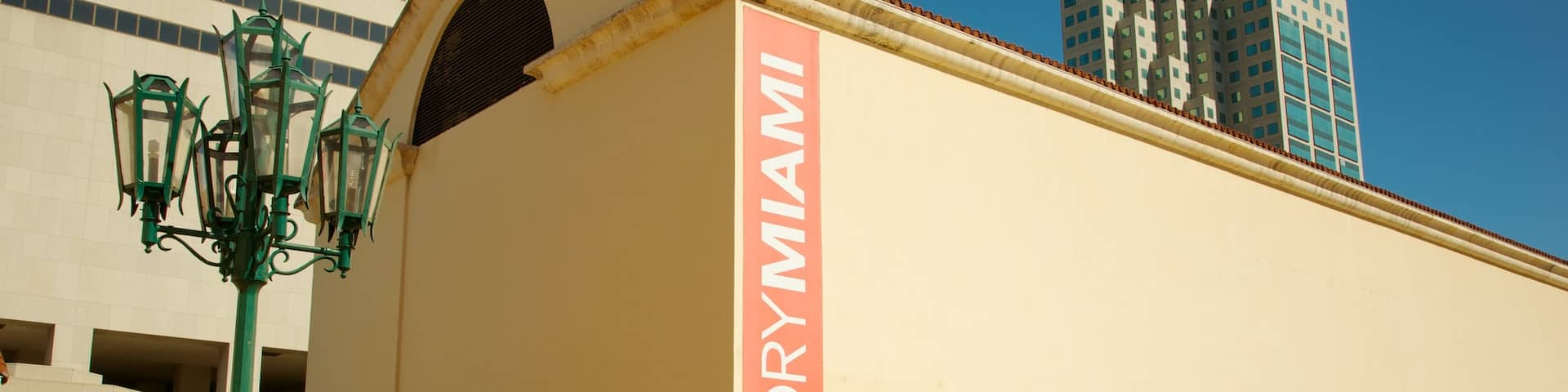 Miami Art Museum featuring art and a city