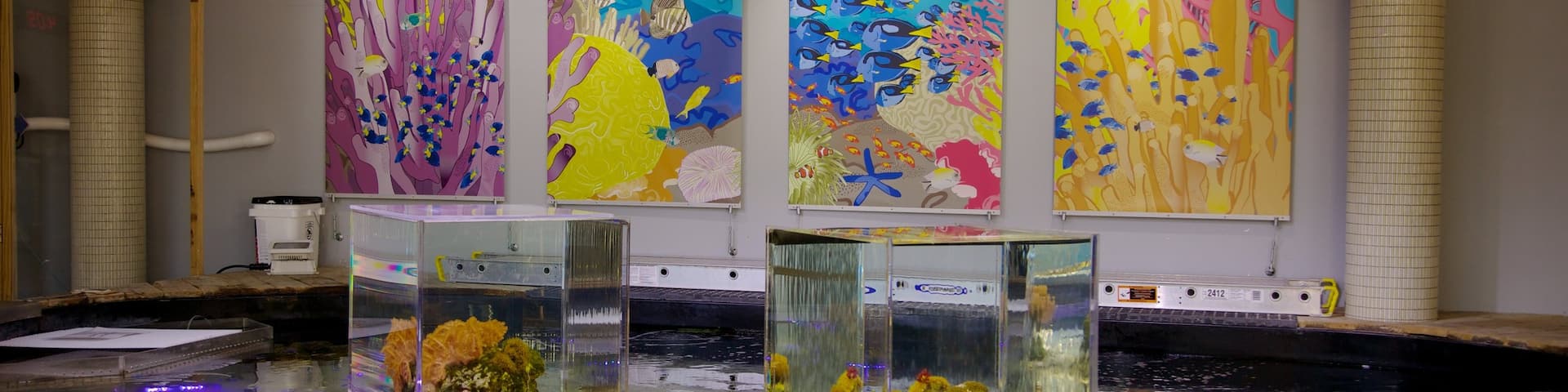 Miami Museum of Science and Space Transit Planetarium featuring interior views