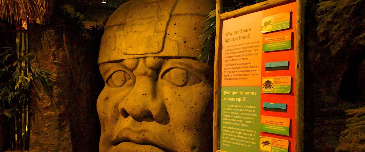 ๋ง์ด์ ๋ฏธ ๊ณผํ ๋ฐ๋ฌผ๊ด ๋ฐ ์ฐ์ฃผ ๋ณํ ์ฒ์ ํฌ์๊ด ์ด ํฌํจ ์ค๋ด ์ ๊ฒฝ