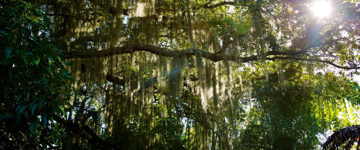 Winter Haven
