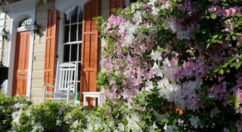 Garden District montrant jardin, maison et fleurs