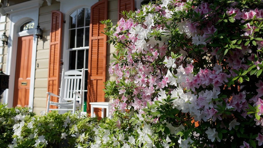 Lush garden and historic mansion in the Garden District, New Orleans.