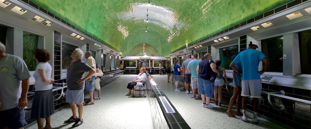 Belle Isle Aquarium showing marine life and interior views