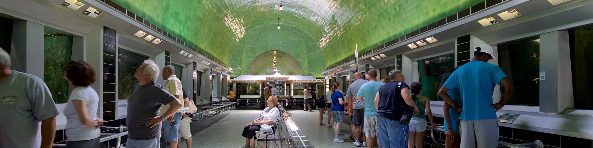 Belle Isle Aquarium