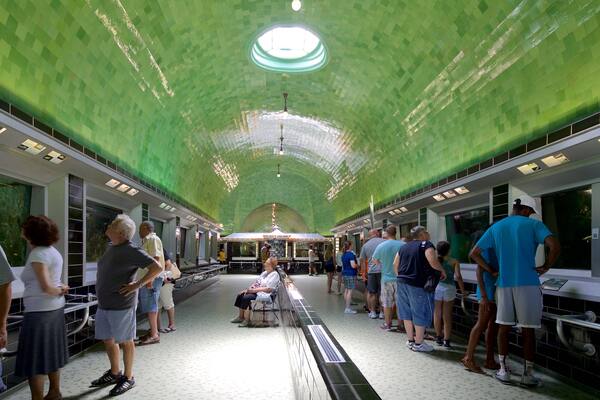 Belle Isle Aquarium das einen Innenansichten und Meeresbewohner