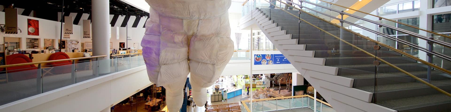 Science Museum of Minnesota das einen Innenansichten