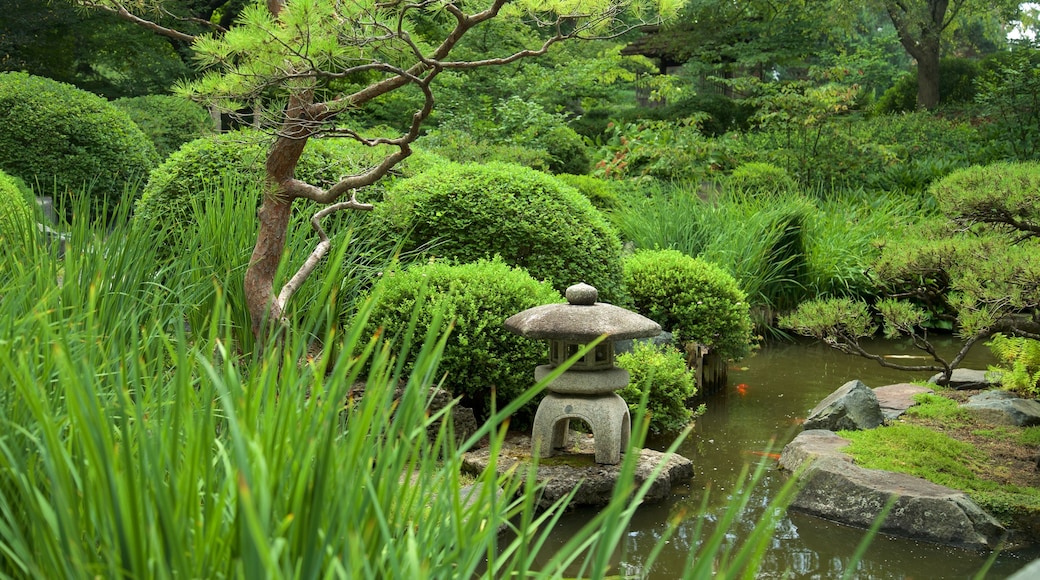 Minnesota Landscape Arboretum