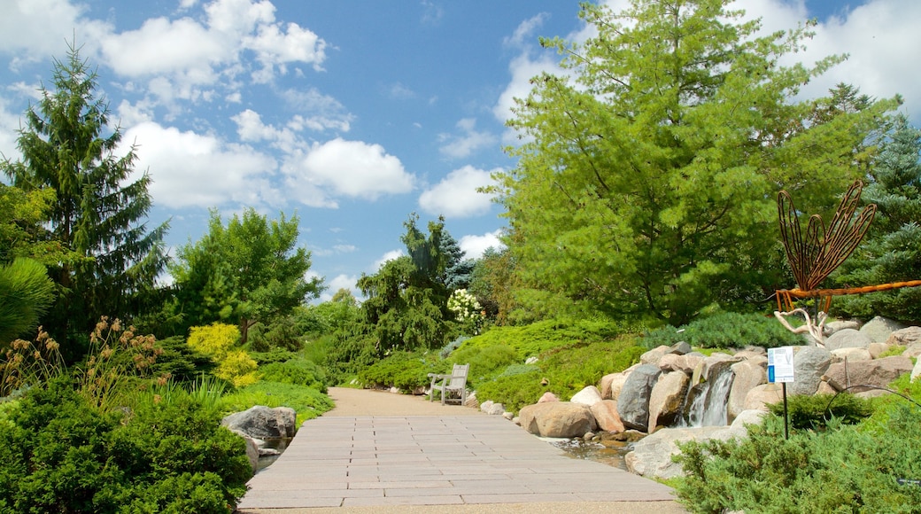 Minnesota Landscape Arboretum mostrando parco