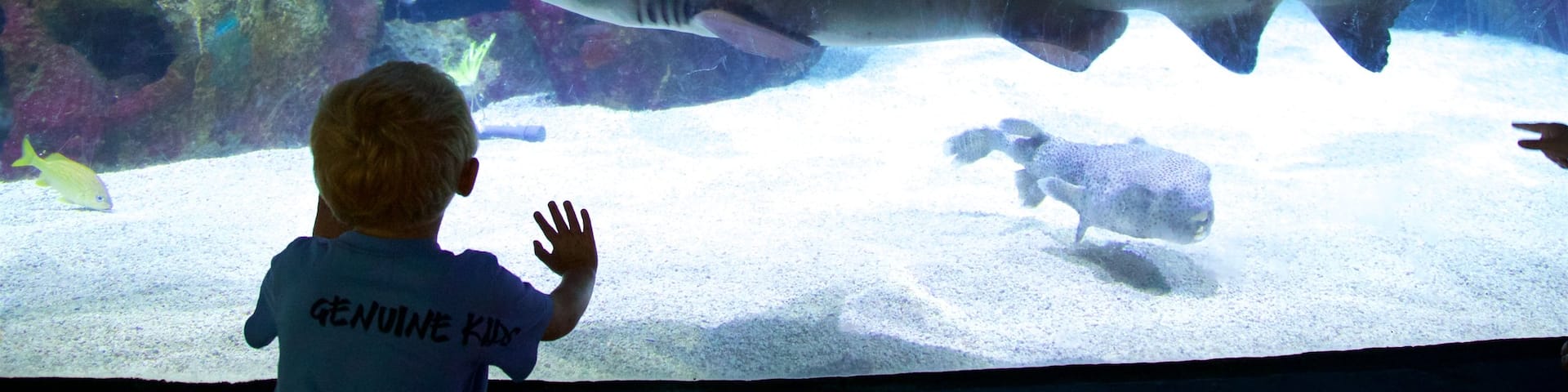 Minnesota Zoo