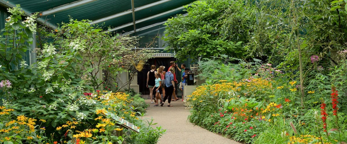 Minnesota Zoo