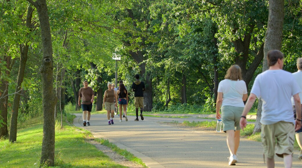 Lake Harriet das einen Garten und Wandern oder Spazieren sowie kleine Menschengruppe