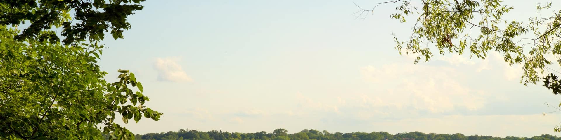 Lake Harriet