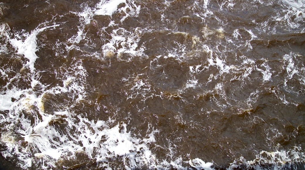 Cascate di Saint Anthony che include fiume o ruscello