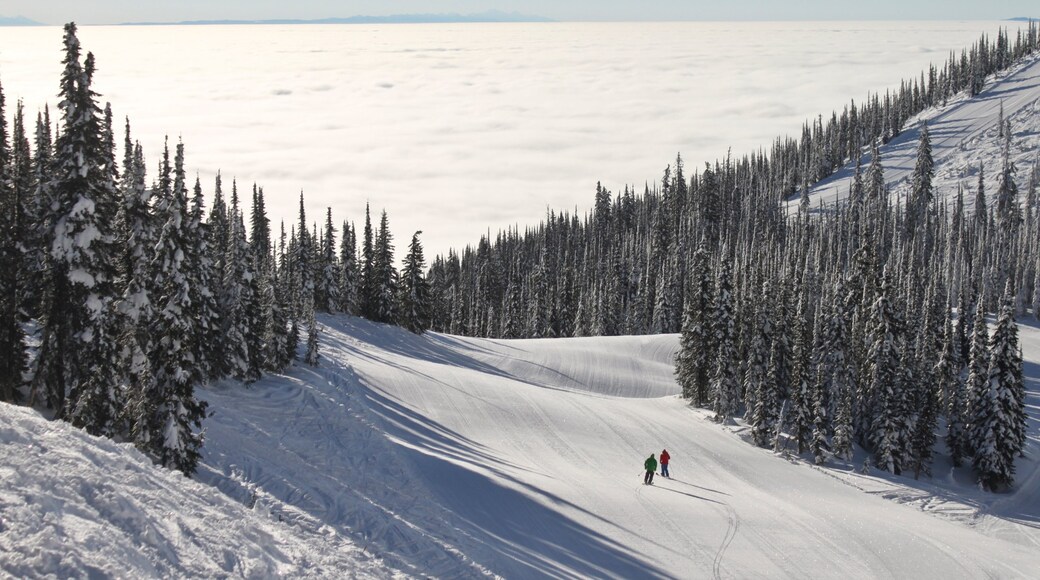 Photo provided by Whitefish Mountain Resort
