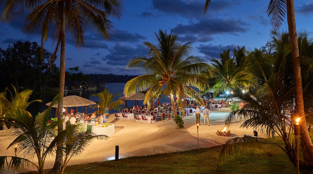 Port Vila johon kuuluu yökuvat, ranta ja trooppiset näkymät