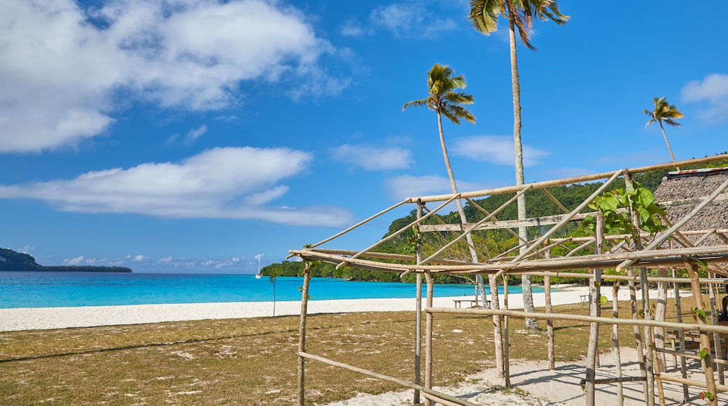 Espiritu Santo featuring tropical scenes and general coastal views