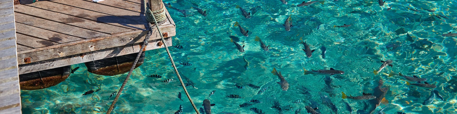 Aore Island welches beinhaltet Meeresbewohner und See oder Wasserstelle sowie einzelnes Kind