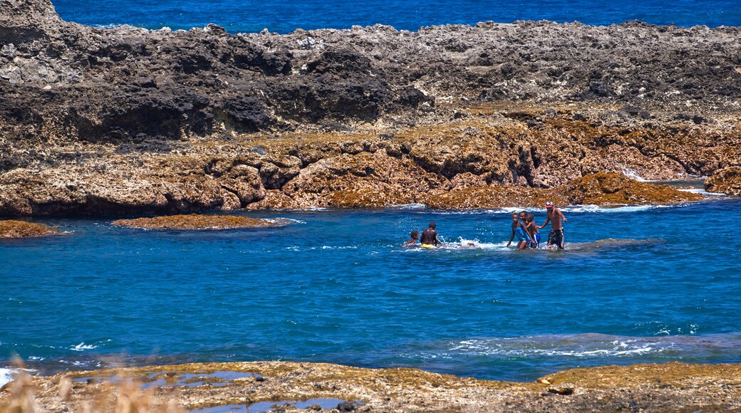 Isla Tanna ofreciendo natación, costa escarpada y vista general a la costa