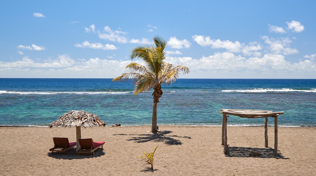 Tanna Island which includes general coastal views, tropical scenes and a sandy beach