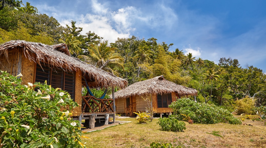 Tanna mettant en vedette scènes tranquilles et scènes tropicales