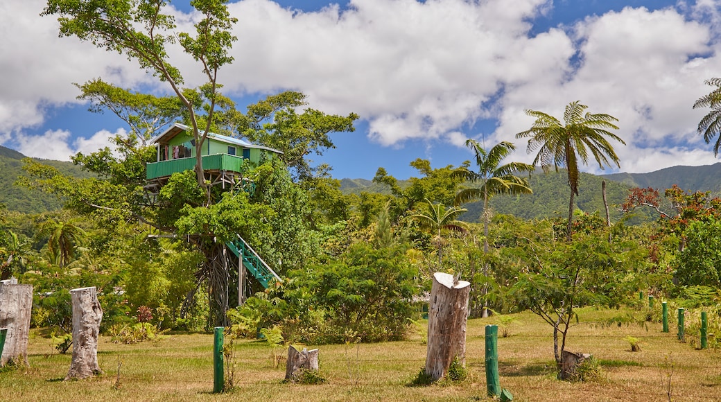 Tanna Island featuring tranquil scenes