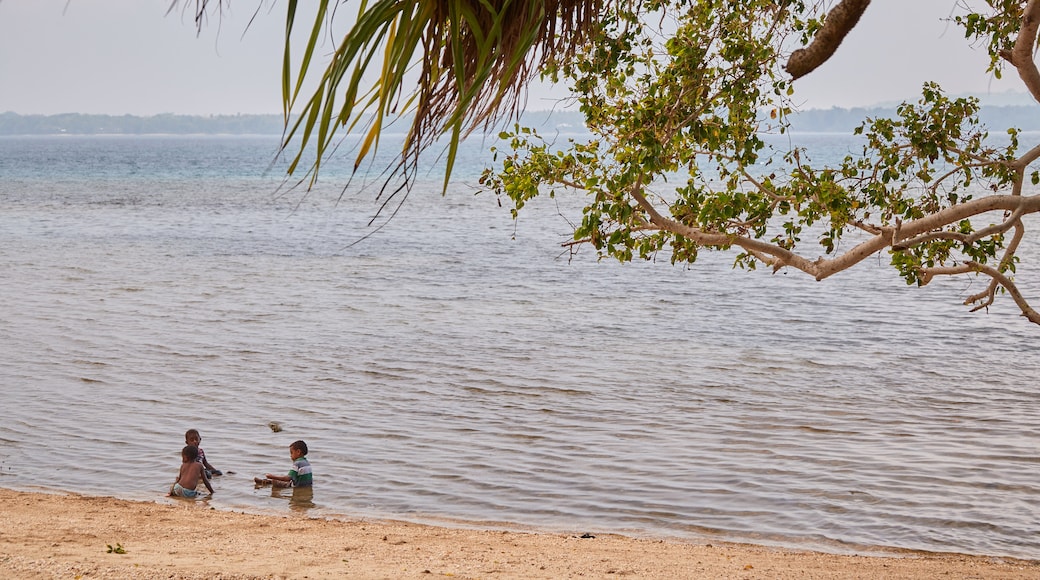 Luganville featuring general coastal views and a sandy beach as well as a small group of people