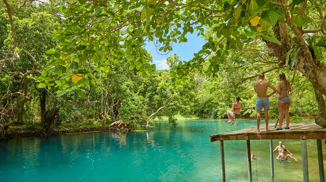 Luganville mostrando natación y pantano y también una pareja