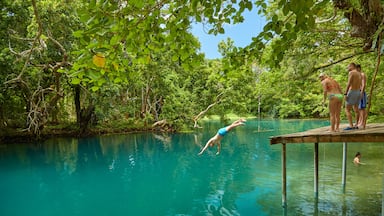 Luganville das einen Sumpfgebiet und Schwimmen sowie kleine Menschengruppe