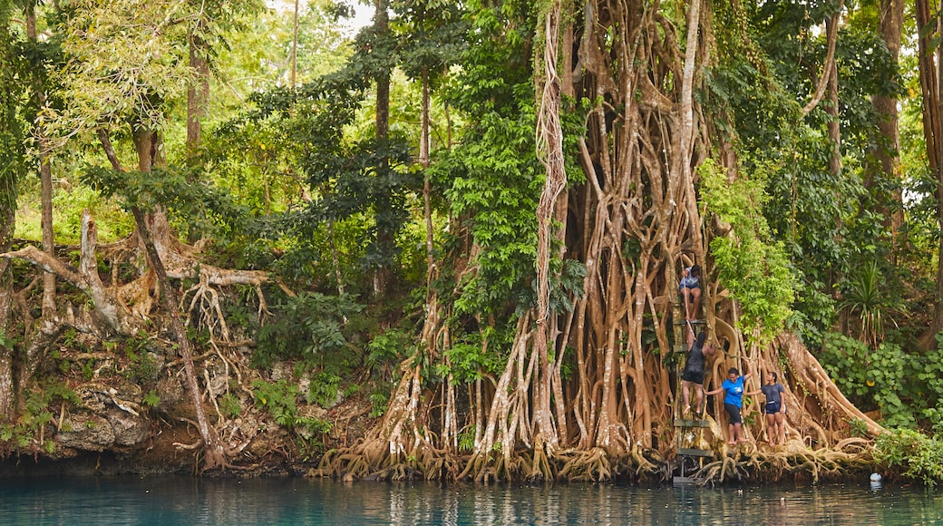 Luganville mostrando pantano y también un pequeño grupo de personas