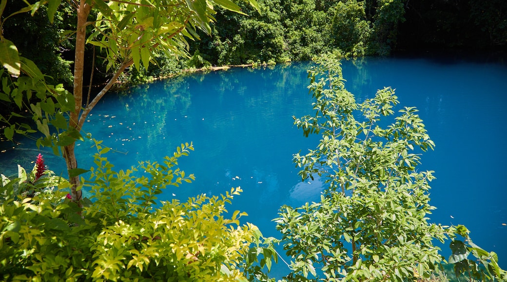 Luganville que incluye un lago o espejo de agua