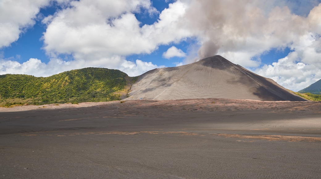 Mount Yasur bevat vredige uitzichten