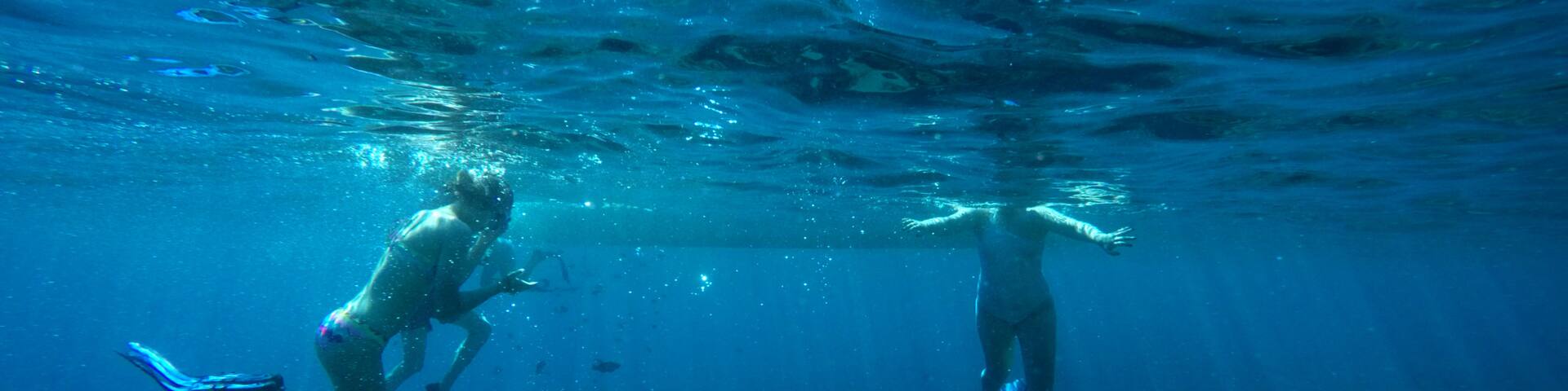 Vanuatu showing coral and snorkelling as well as a couple