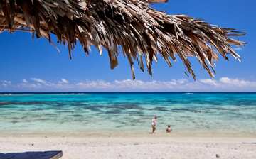 レレパ島観光ガイド 定番人気スポットを参考に自分にピッタリの観光プランを立てよう エクスペディア レレパ島観光ガイド 定番人気スポットを参考に自分にピッタリの観光プランを立てよう エクスペディア