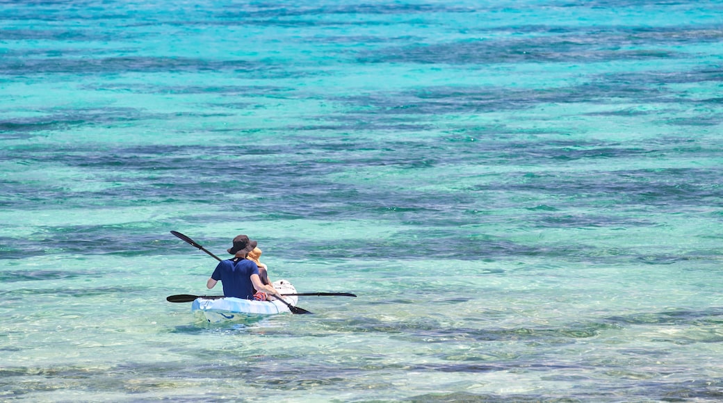 Vanuatu mostrando kayaks o canoas y vista general a la costa y también una pareja