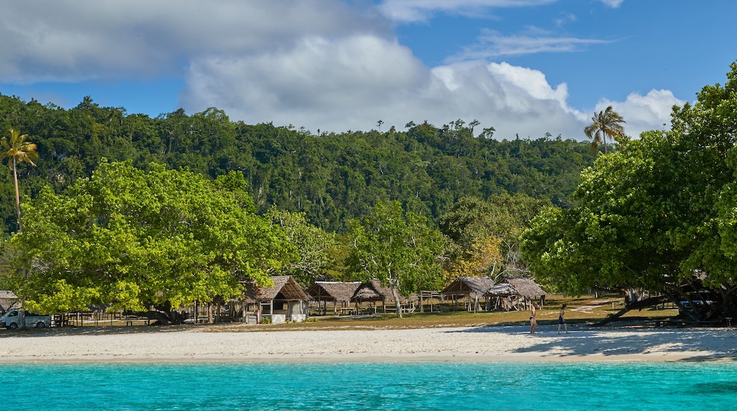 Espiritu Santo showing tropical scenes, a sandy beach and general coastal views