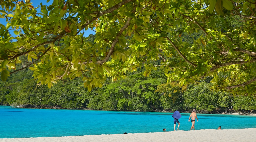 Espiritu Santo das einen allgemeine Küstenansicht und Sandstrand sowie kleine Menschengruppe